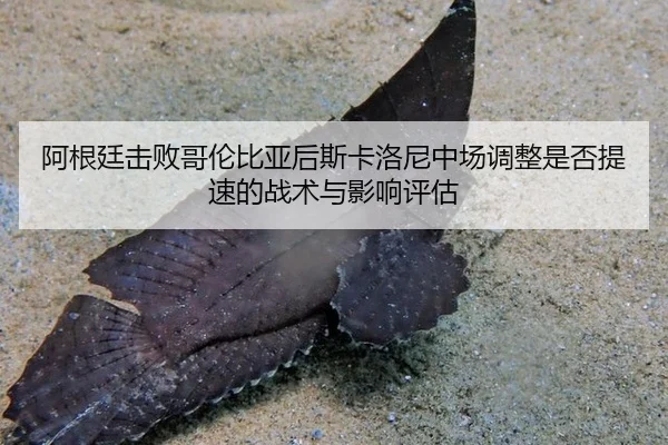 a-gen-ting-ji-bai-ge-lun-bi-ya-hou-si-ka-luo-ni-zhong-chang-tiao-zheng-shi-fou-ti-su-de-zhan-shu-yu-ying-xiang-ping-gu-2-940.jpg
