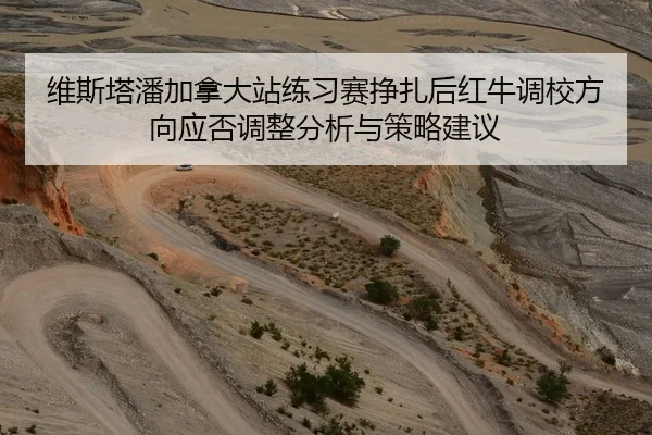 维斯塔潘加拿大站练习赛挣扎后红牛调校方向应否调整分析与策略建议
