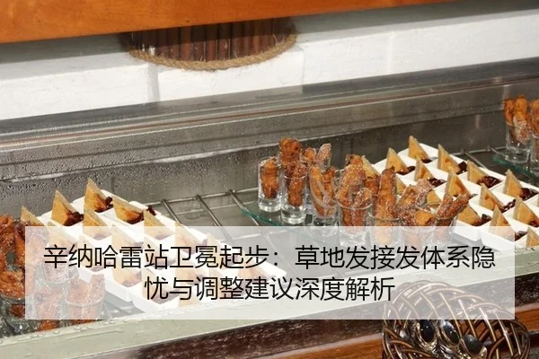 xin-na-ha-lei-zhan-wei-mian-qi-bu-cao-di-fa-jie-fa-ti-xi-yin-you-yu-tiao-zheng-jian-yi-shen-du-jie-xi-2-574.jpg